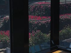 -鹤菊怀石料理(江北店)