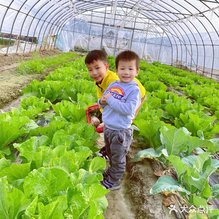 体验农家生活日常·龙余农场🐔🦆🥚🐟🥬