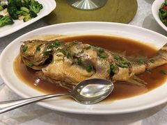 -印象高密·凤都国际大酒店