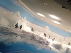 -上海海洋水族馆