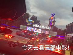 -枫花园汽车电影院(朝阳公园店)