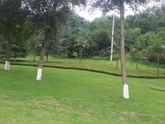 -龙头寺公园