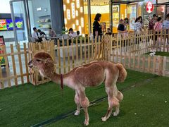 -潮界(虹桥新天地店)