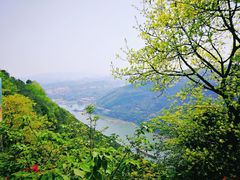 -铁山坪森林公园