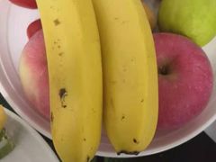 -南阳建业森林半岛假日酒店