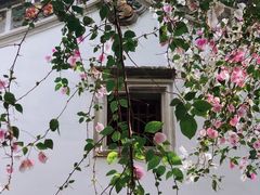 -深圳国际园林花卉博览园