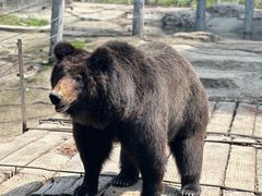 -常州淹城野生动物世界