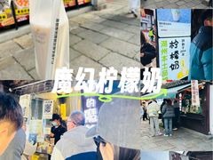 -猫的魔法密林(衣裳街店)