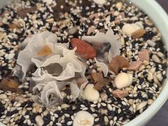 -邢家锅贴老店·非遗·开封菜(金明广场店)