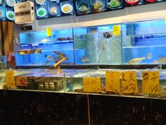 -虾饺妹·酒家(金碧店)