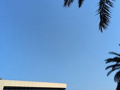 -野狸岛