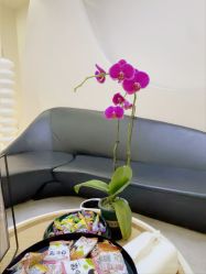 -VE专注问题肌·赛诺龙&科学美肤中心