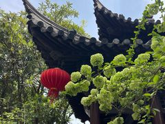 -常熟方塔园
