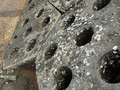 -日照世帆赛基地