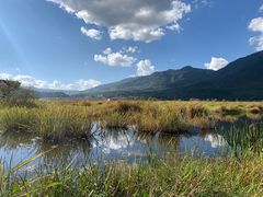 -腾冲北海湿地