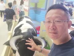 -红星前进面包牛奶公司(君太店)