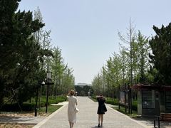 -洛阳古墓博物馆