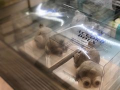 -喜利来蛋糕(景子街店)