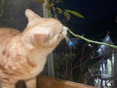 -马灯部落·西湖边的创意山景餐厅(虎跑动物园店)