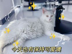 点击看大图 -熙.Hair 丨专注女子中长发丨