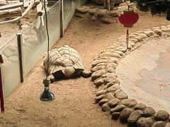 -西霞口神雕山野生动物世界