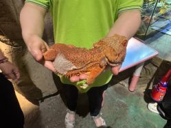 -酷嗒动物文化乐园(cutezoo西溪乐天城店)