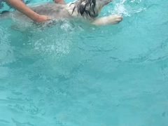 -趣玩宠物乐园寄养训犬训狗游泳池