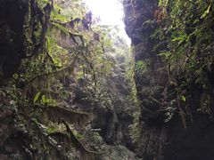 -阿依河景区