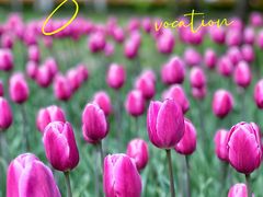 -长春公园(普阳街道)