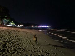 -查汶海滩