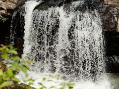 -广州白江湖森林公园