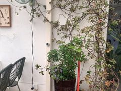 -春树下·树屋花房西餐厅(罍街AS1980店)