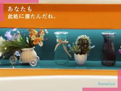 -鱼你在一起(南开天佑城店)