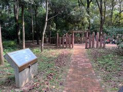 -南宁良凤江国家森林公园