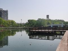 -新江湾城公园