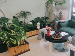 -Lumi露米·美甲美睫品质店