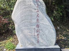 -中国大熊猫保护研究中心雅安碧峰峡基地