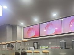 -雾与山茶(大禹城店)