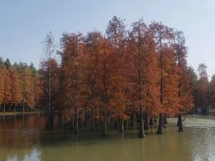 -丁俊晖台球俱乐部(海上海·弘基休闲广场店)
