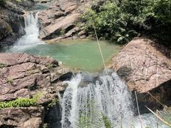 -广州白江湖森林公园