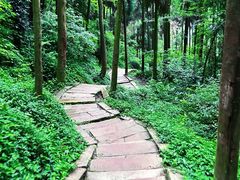 -青城山