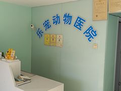 -乐宠动物医院