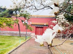 -北京市劳动人民文化宫(太庙)
