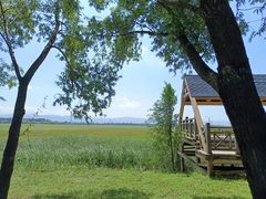 -野鸭湖国家湿地公园
