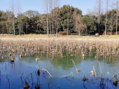 -渤公岛生态公园
