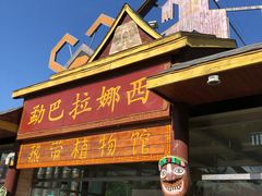 -呀路古热带植物园