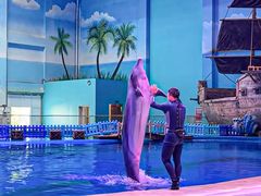 -华夏文旅海洋公园