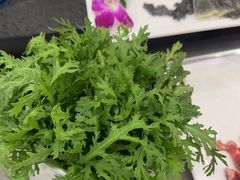 -常赢三兄弟·清真涮肉(崂山路总店)