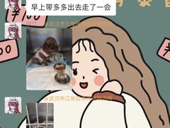 -伟伟宠物医院·CT影像中心·瑞派犬猫综合性门诊(汉口总院)