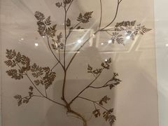 -重庆自然博物馆(新馆)